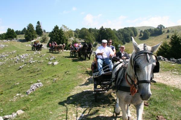 Campeggio Branchetto Hotel Bosco Chiesanuova Kültér fotó