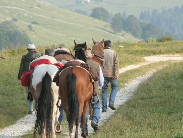 Campeggio Branchetto Hotel Bosco Chiesanuova Kültér fotó