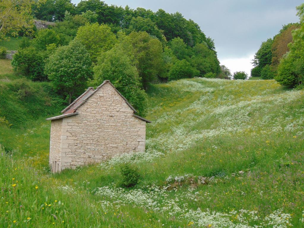 Campeggio Branchetto Hotel Bosco Chiesanuova Kültér fotó